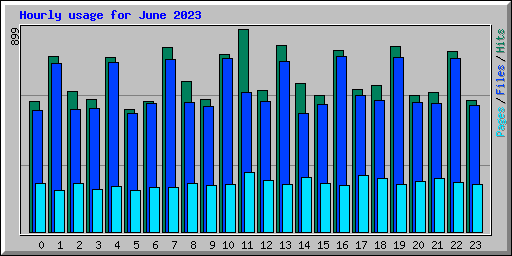 Hourly usage for June 2023
