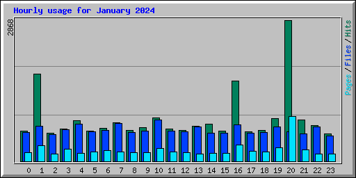 Hourly usage for January 2024
